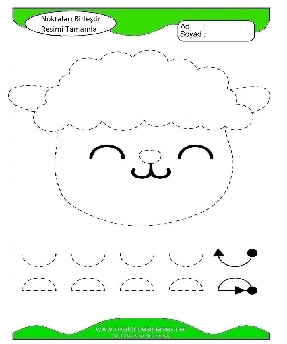 Çizgi Çalışmaları