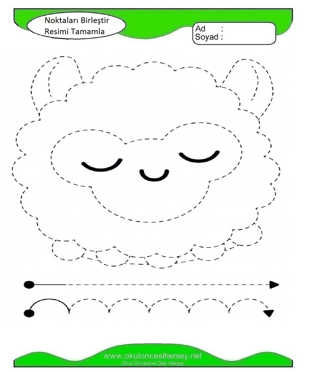 Çizgi Çalışmaları