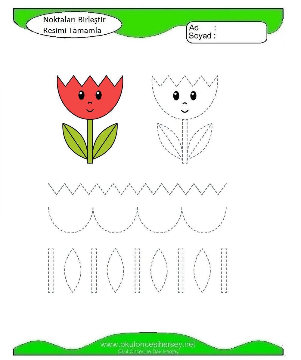 Çizgi Çalışmaları