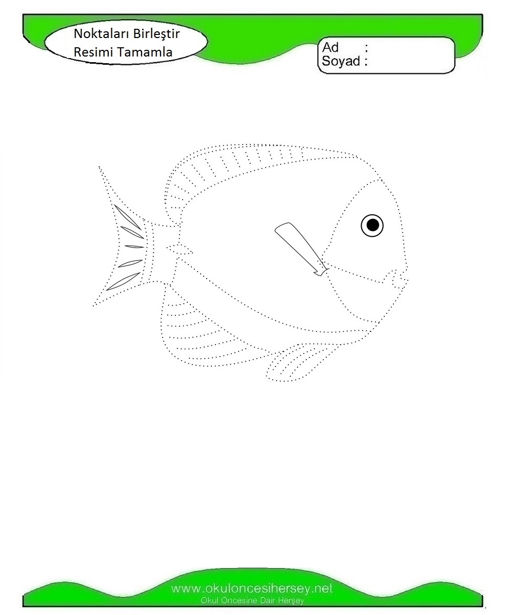 Çizgi Çalışmaları