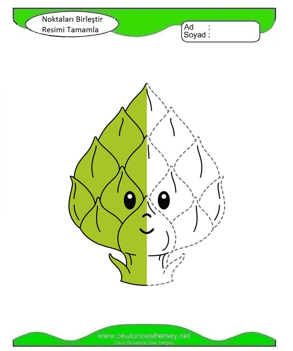 Çizgi Çalışmaları