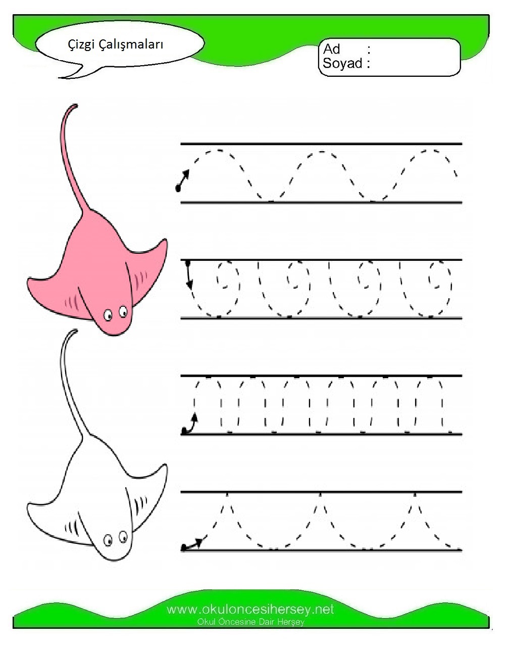 Çizgi Çalışmaları