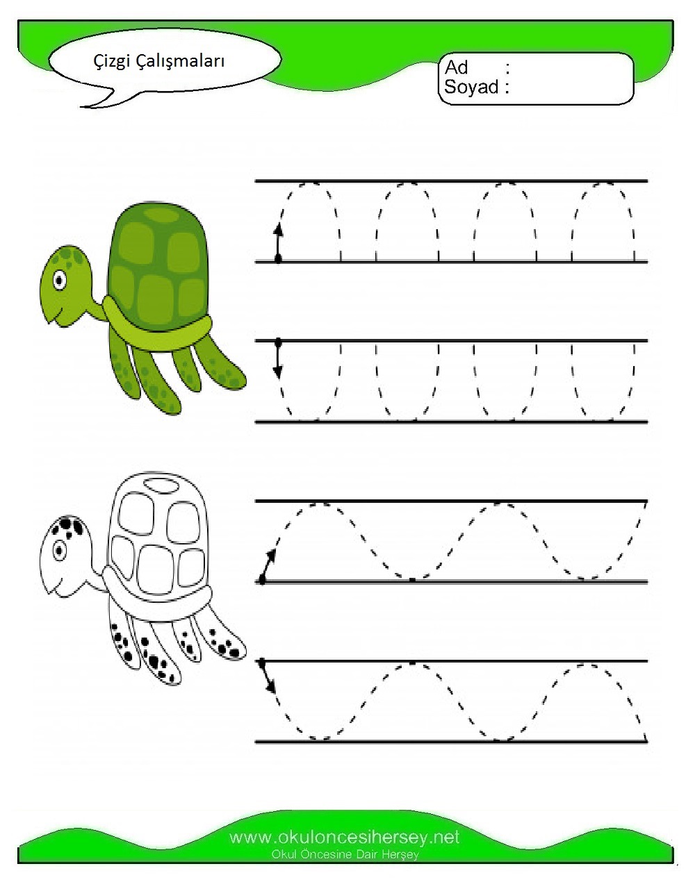 Çizgi Çalışmaları