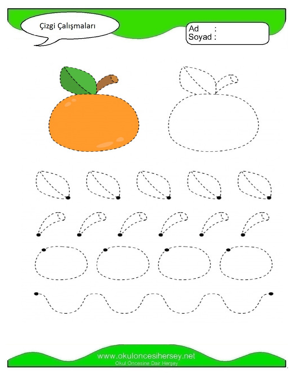 Çizgi Çalışmaları