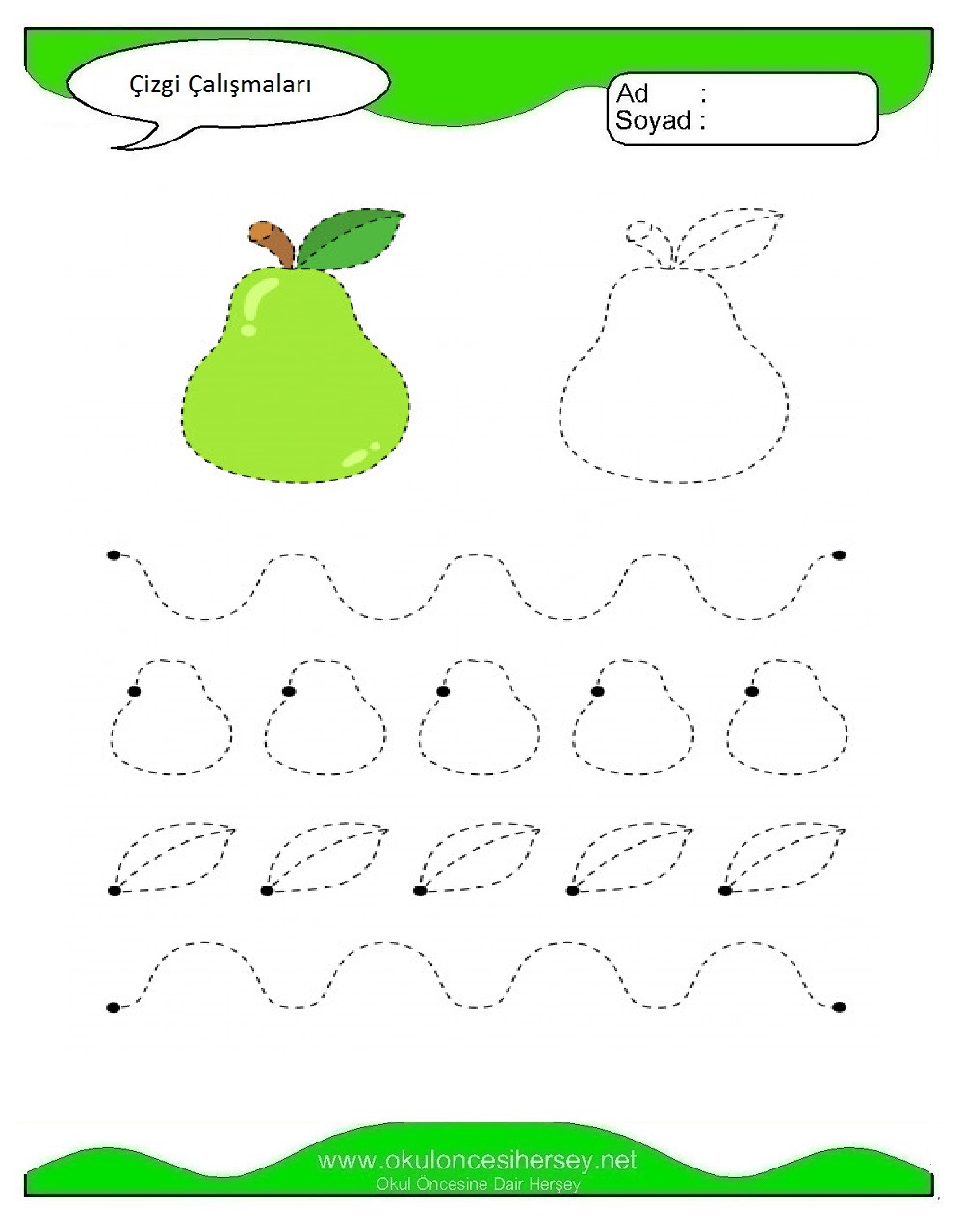 Çizgi Çalışmaları