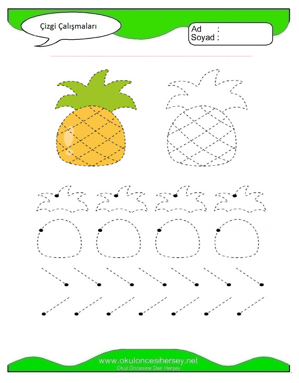 Çizgi Çalışmaları