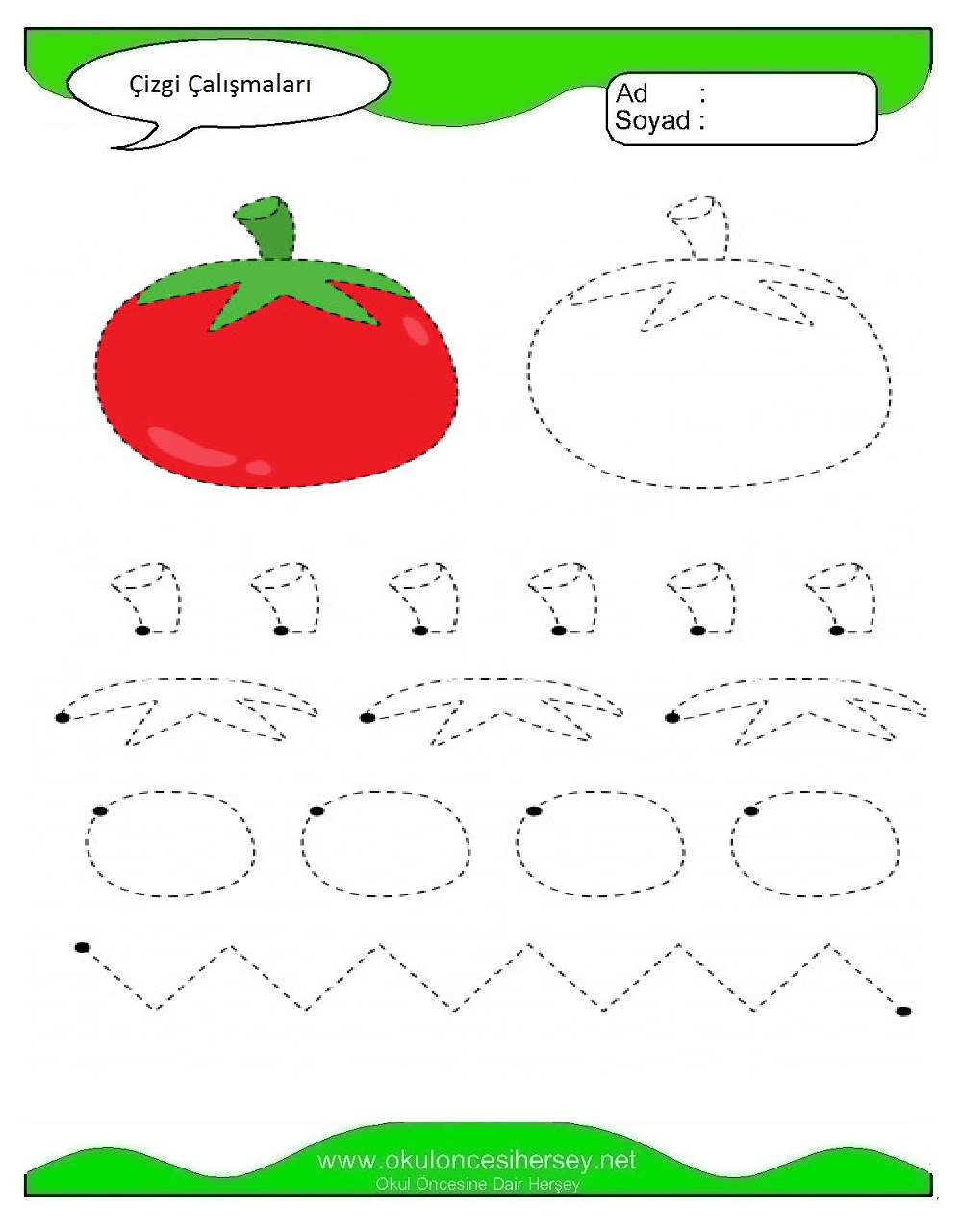 Çizgi Çalışmaları