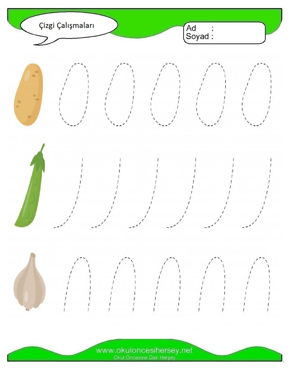 Çizgi Çalışmaları