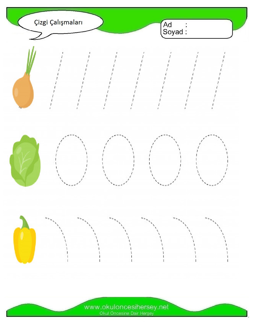 Çizgi Çalışmaları