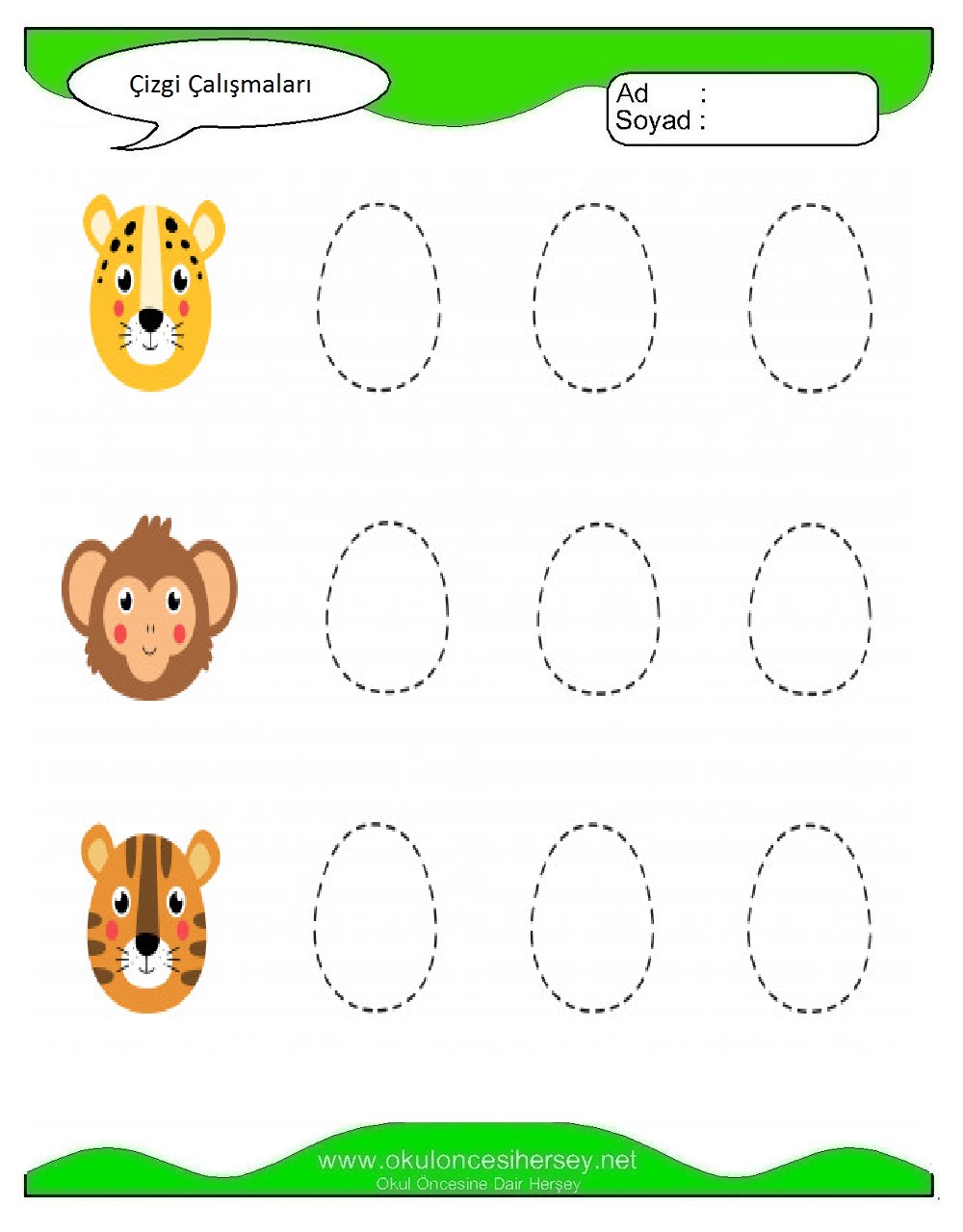 Çizgi Çalışmaları