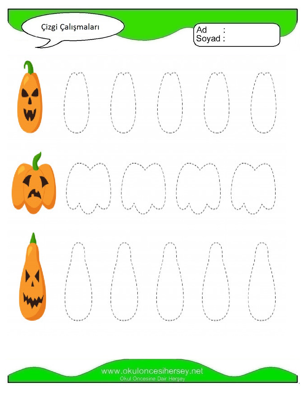 Çizgi Çalışmaları