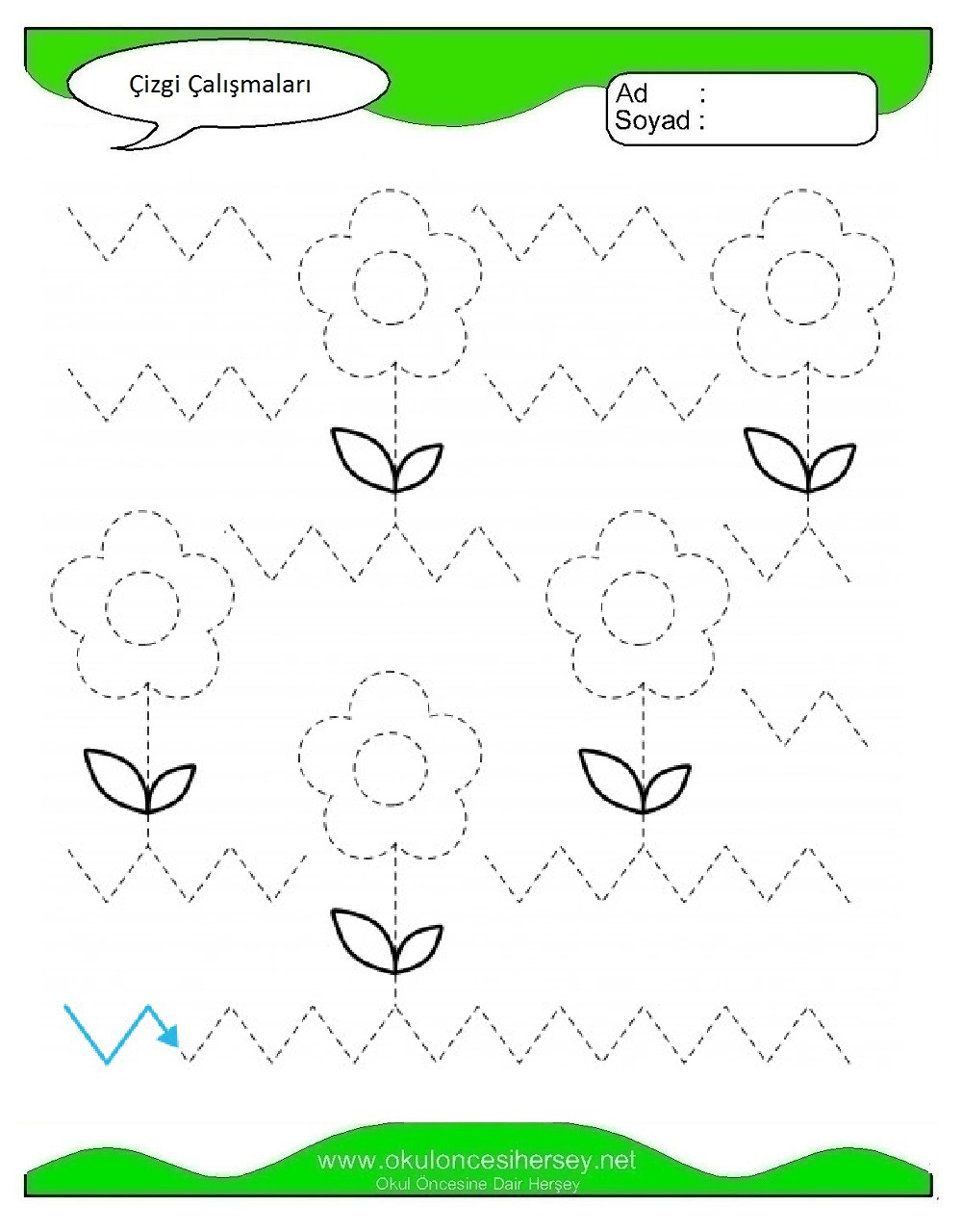 Çizgi Çalışmaları