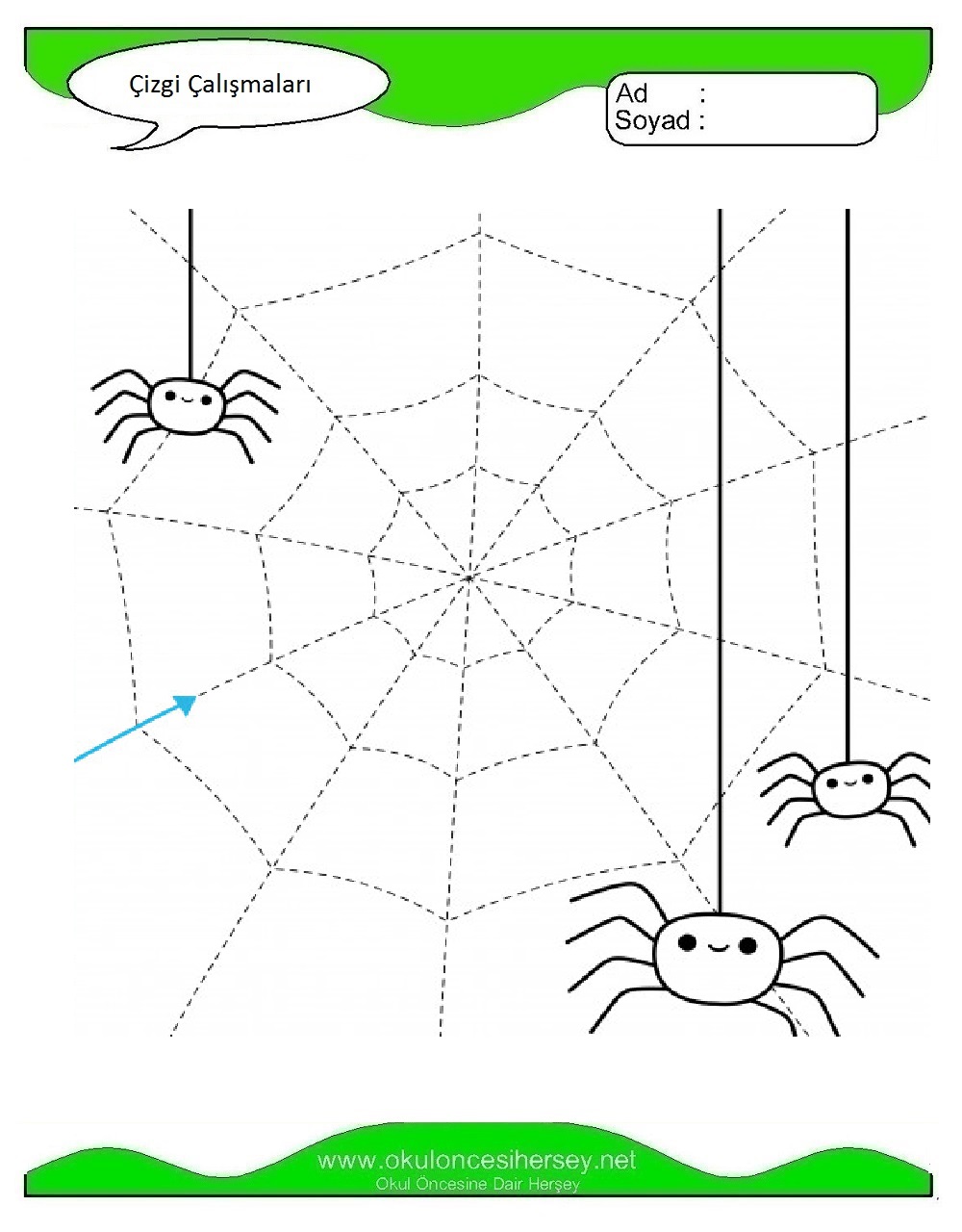 Çizgi Çalışmaları