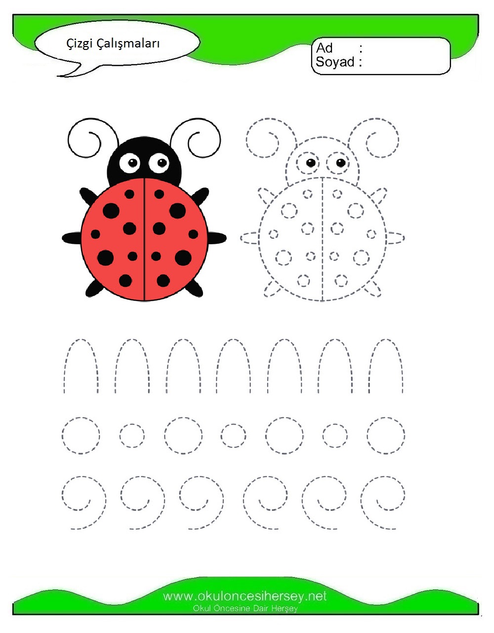 Çizgi Çalışmaları