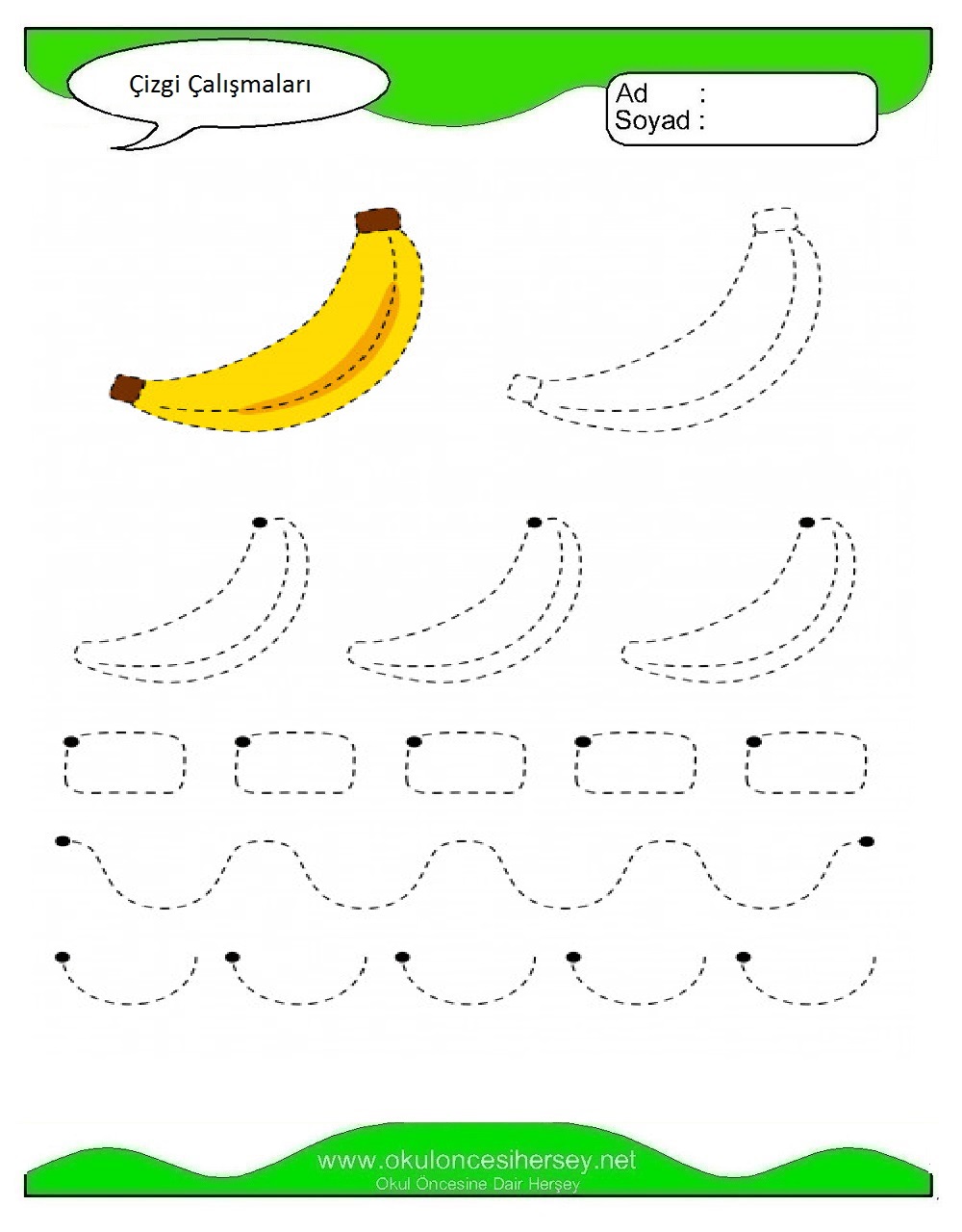 Çizgi Çalışmaları