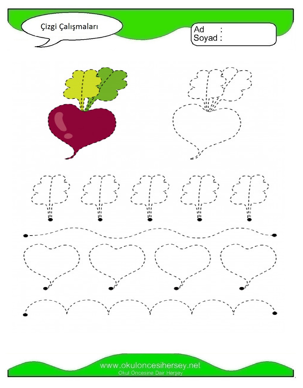 Çizgi Çalışmaları