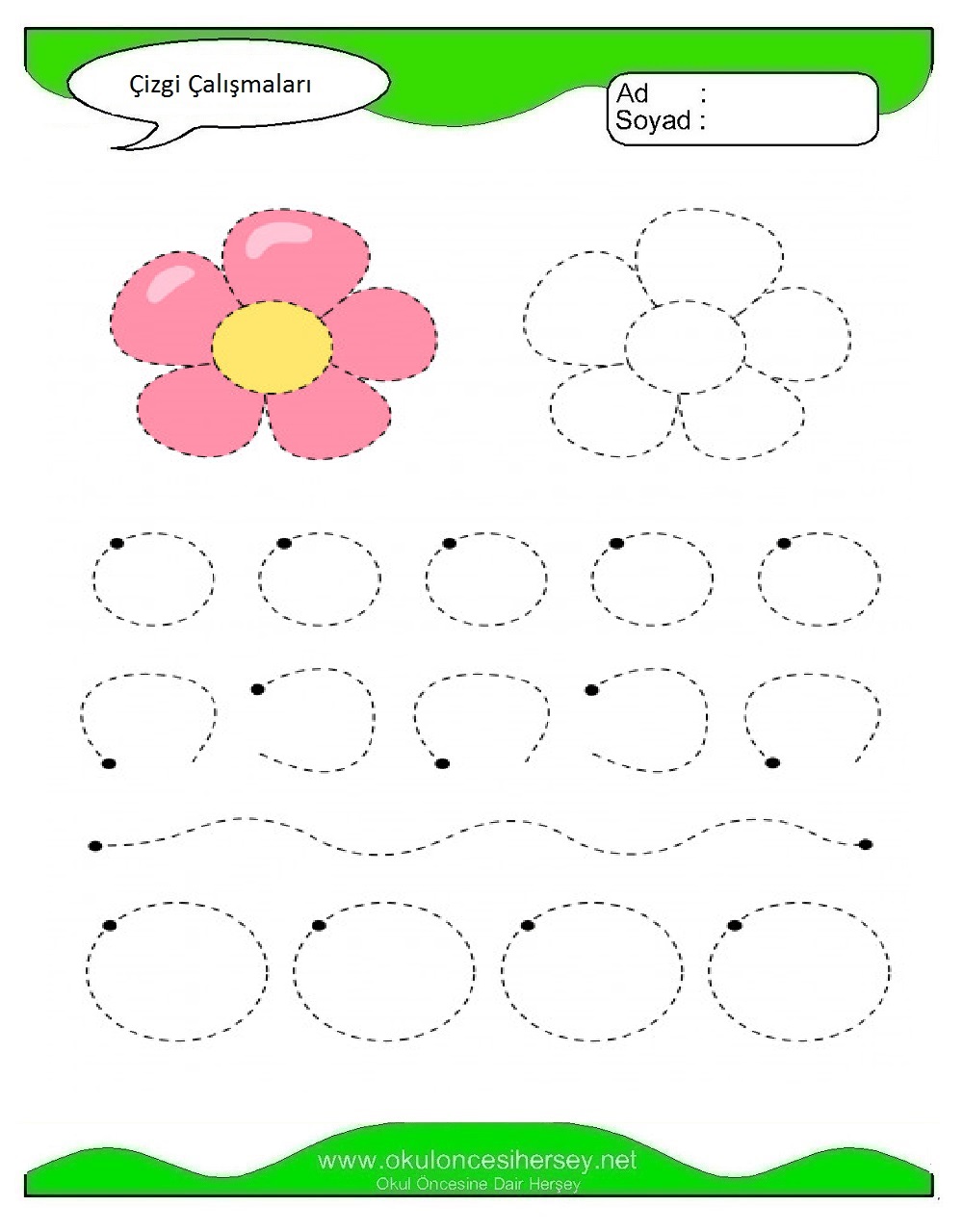 Çizgi Çalışmaları