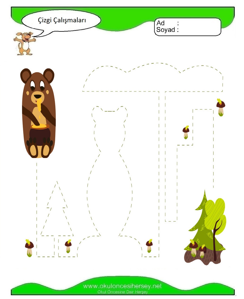 Çizgi Çalışmaları