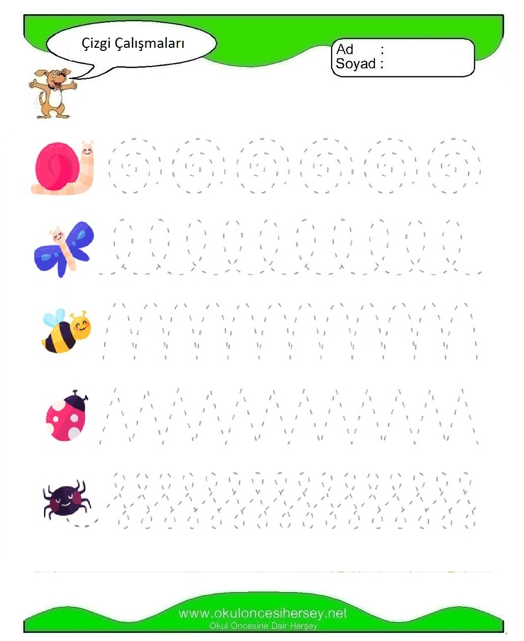 Çizgi Çalışmaları