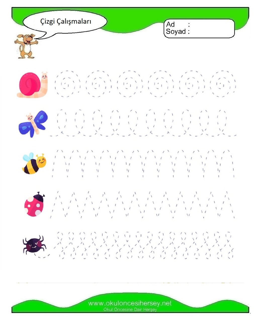 Çizgi Çalışmaları