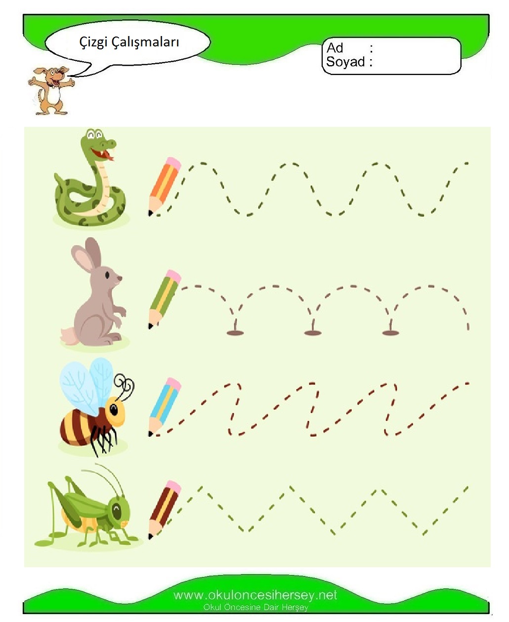 Çizgi Çalışmaları
