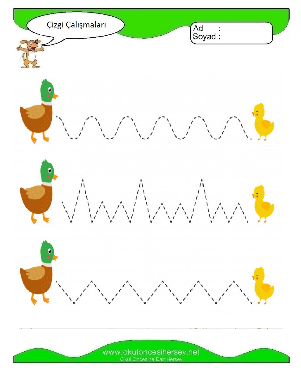 Çizgi Çalışmaları