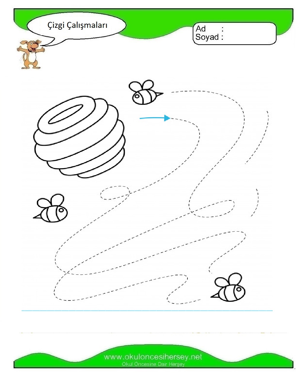 Çizgi Çalışmaları