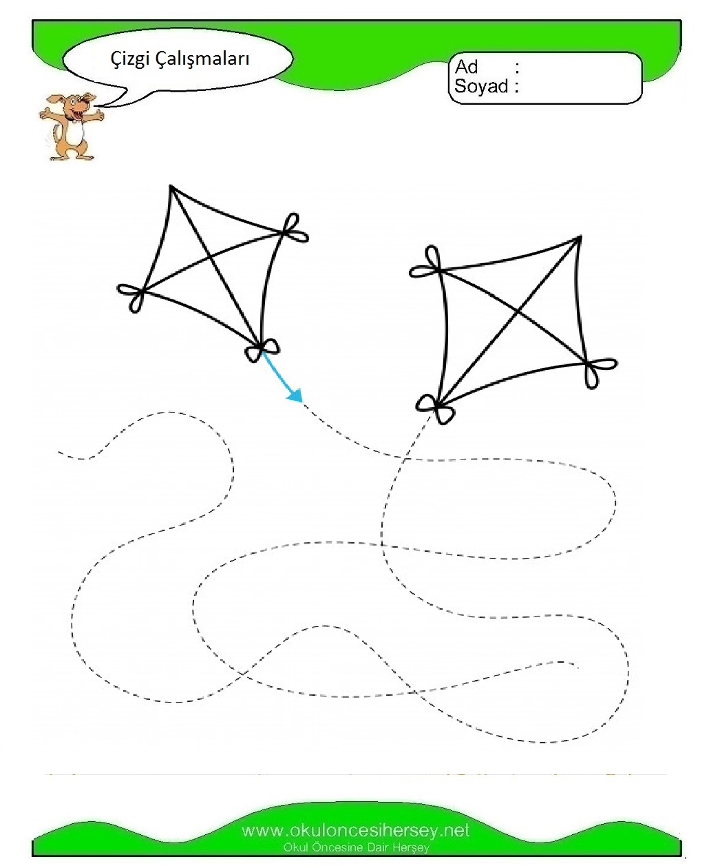 Çizgi Çalışmaları