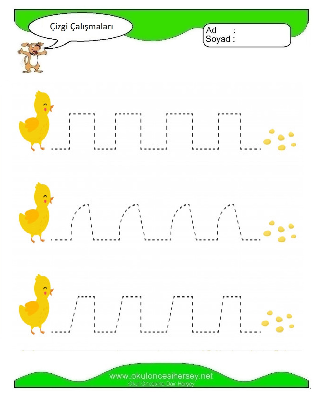 Çizgi Çalışmaları