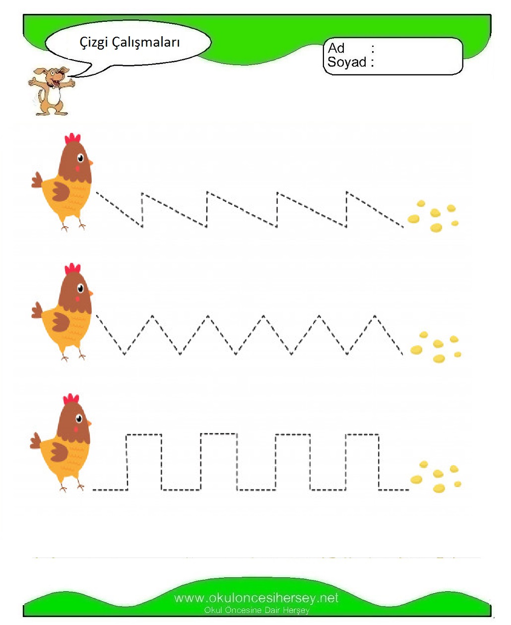 Çizgi Çalışmaları