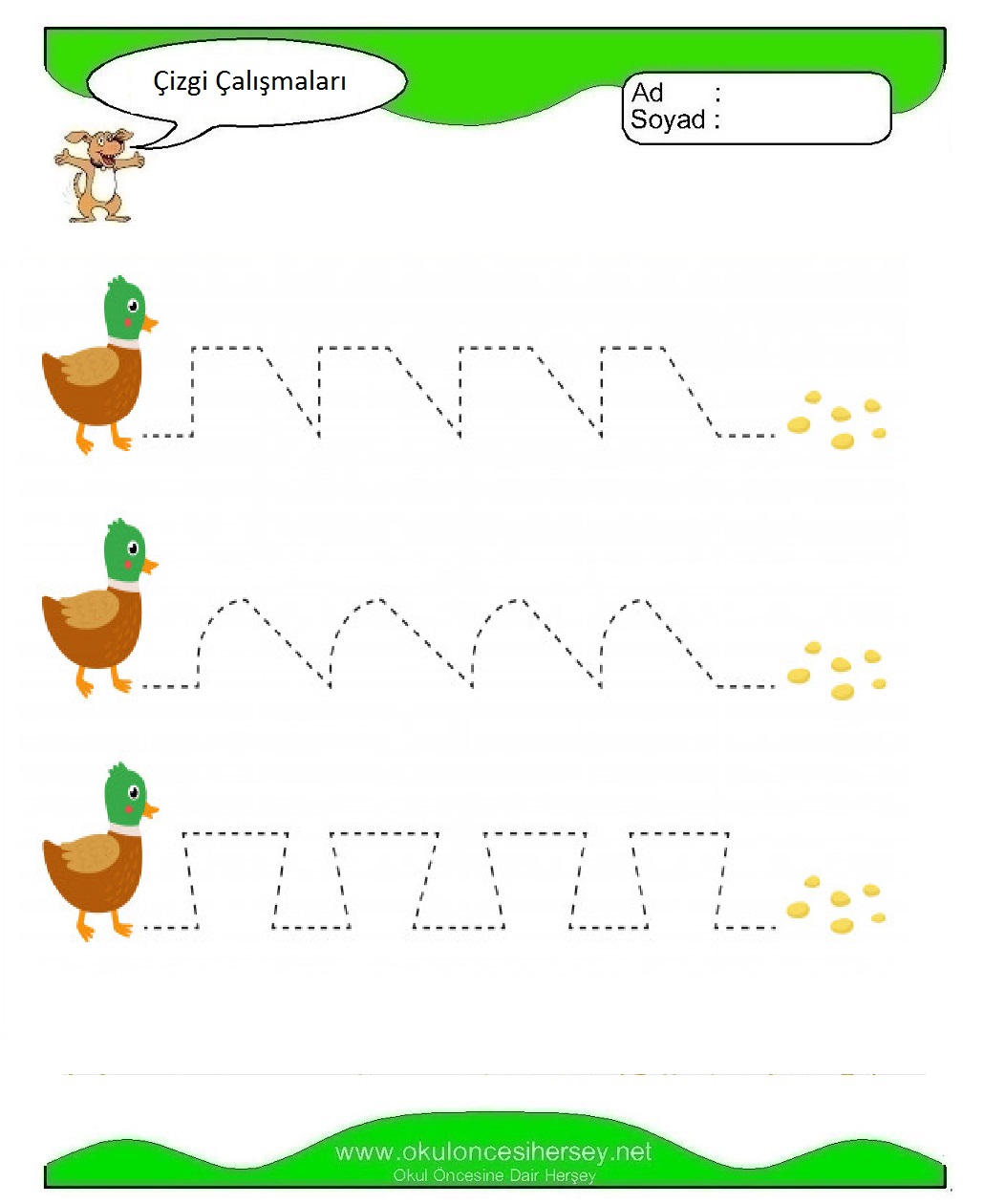 Çizgi Çalışmaları