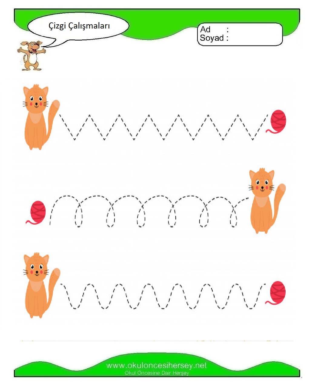 Çizgi Çalışmaları