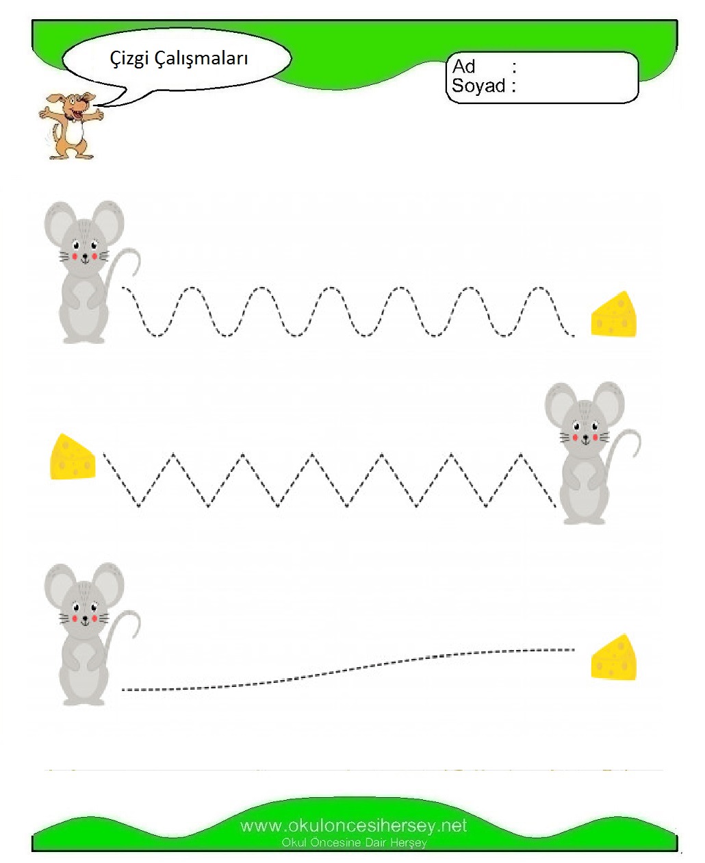 Çizgi Çalışmaları