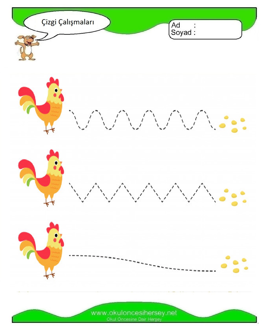 Çizgi Çalışmaları