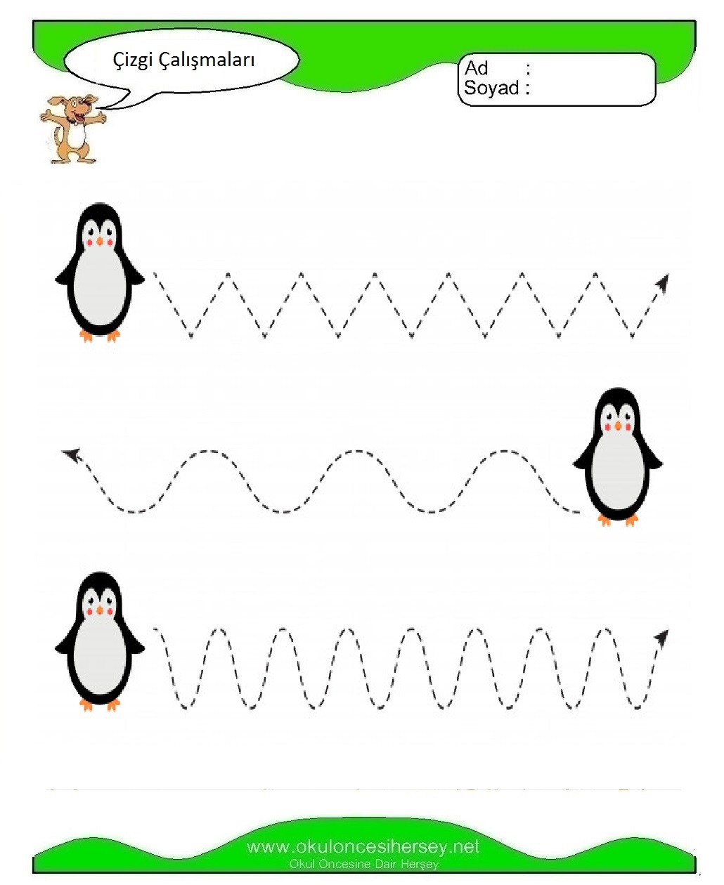 Çizgi Çalışmaları