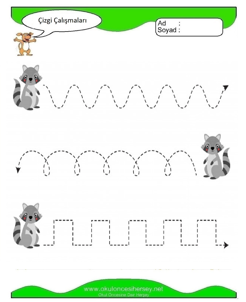 Çizgi Çalışmaları