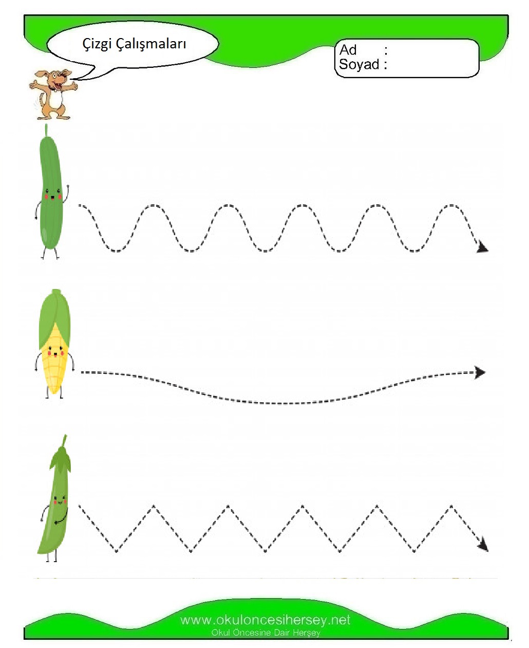 Çizgi Çalışmaları