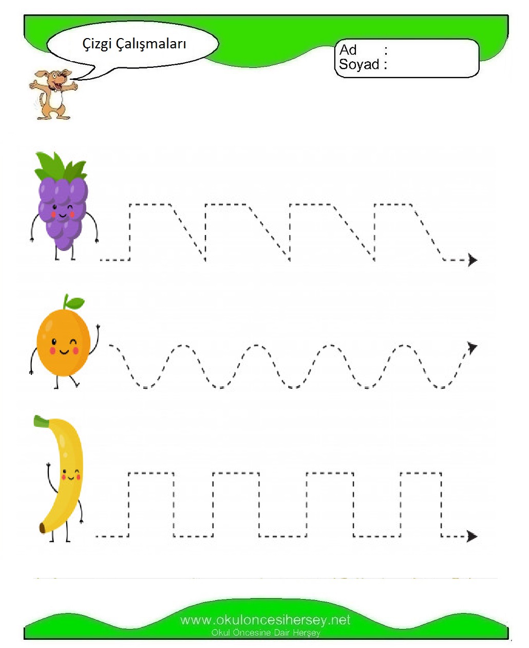 Çizgi Çalışmaları