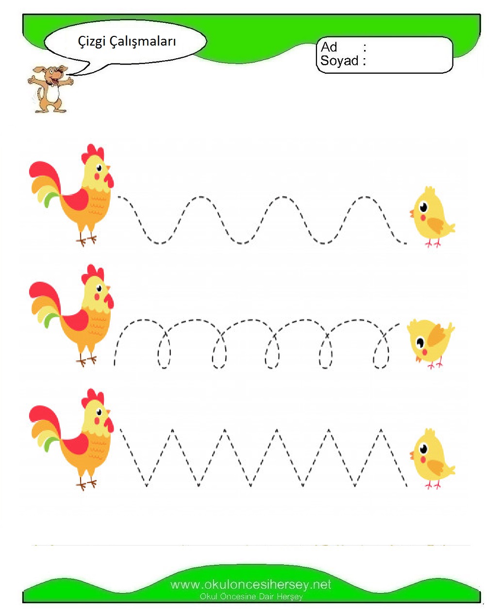 Çizgi Çalışmaları