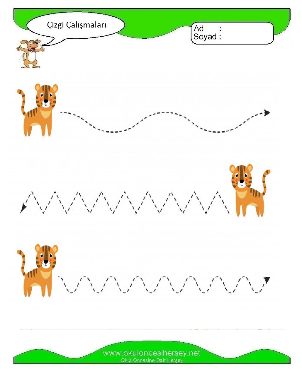 Çizgi Çalışmaları