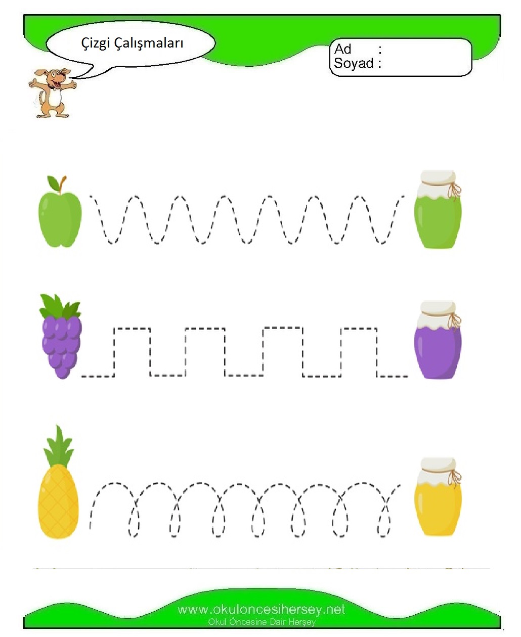 Çizgi Çalışmaları