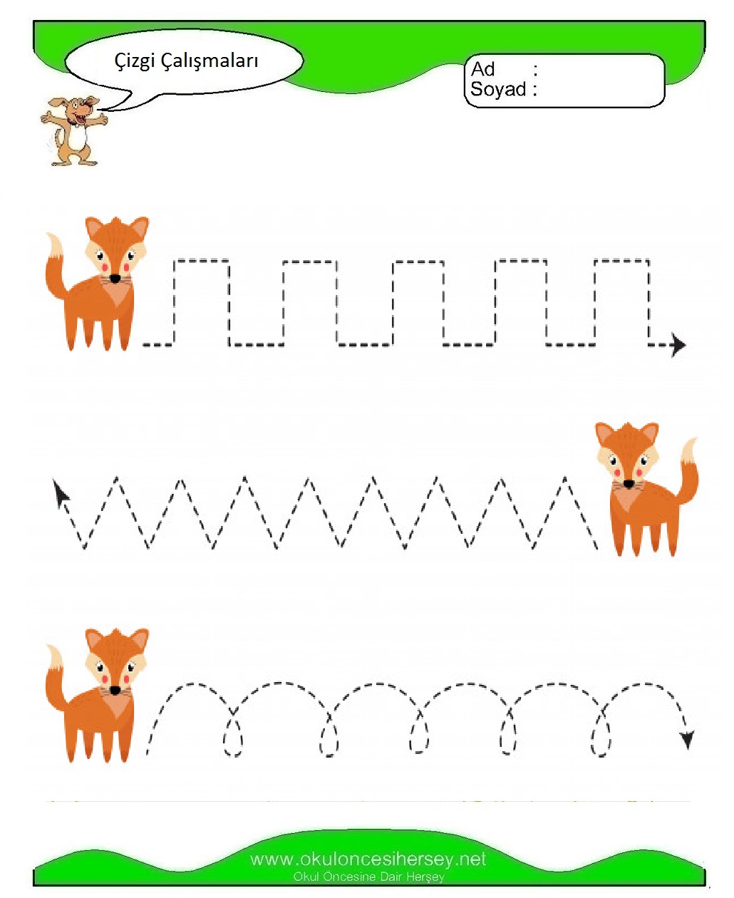 Çizgi Çalışmaları