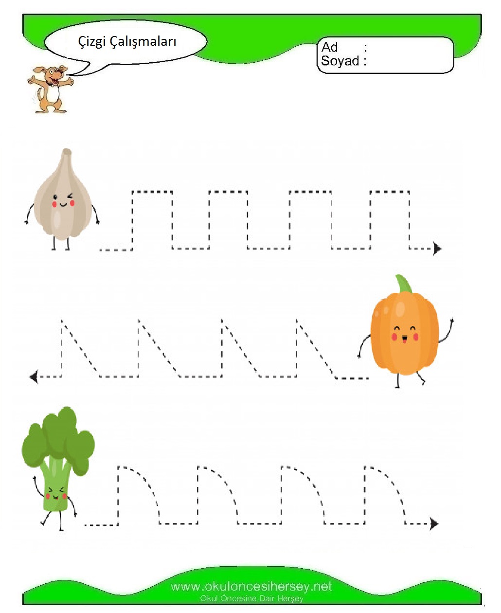 Çizgi Çalışmaları