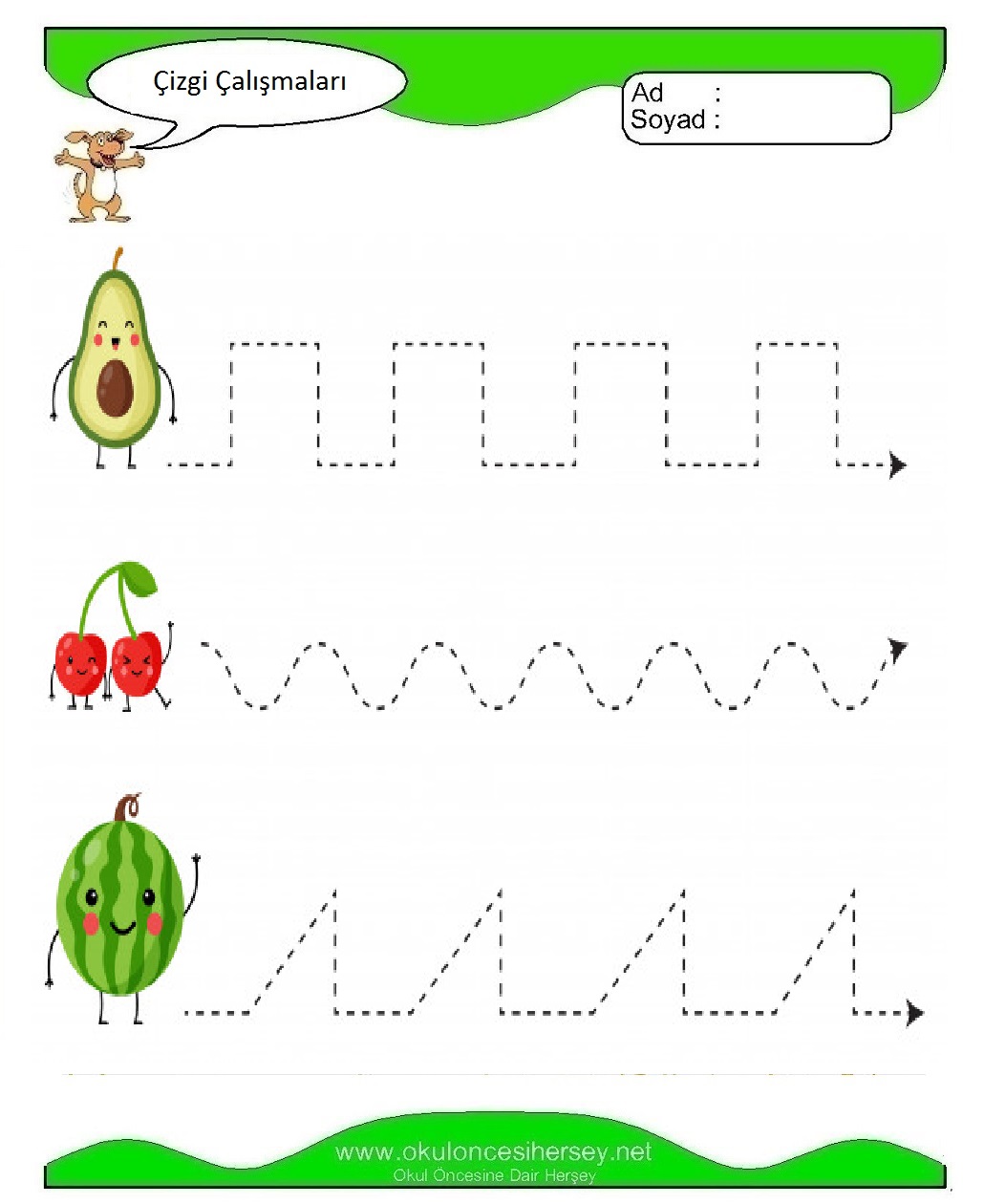 Çizgi Çalışmaları