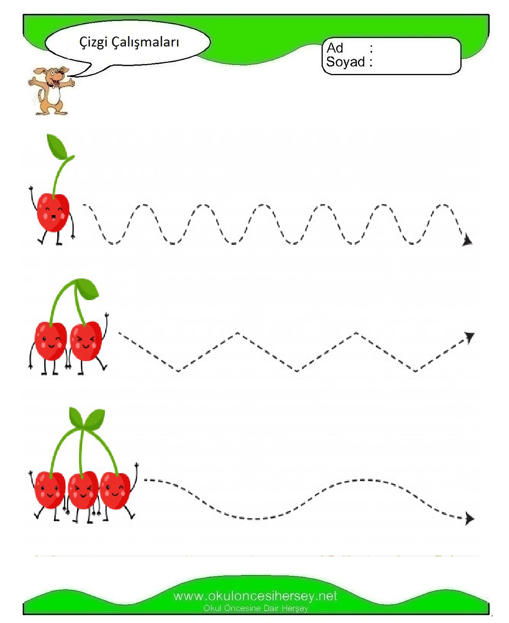 Çizgi Çalışmaları