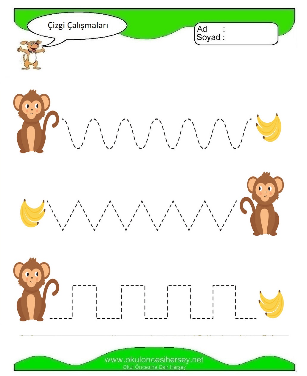 Çizgi Çalışmaları