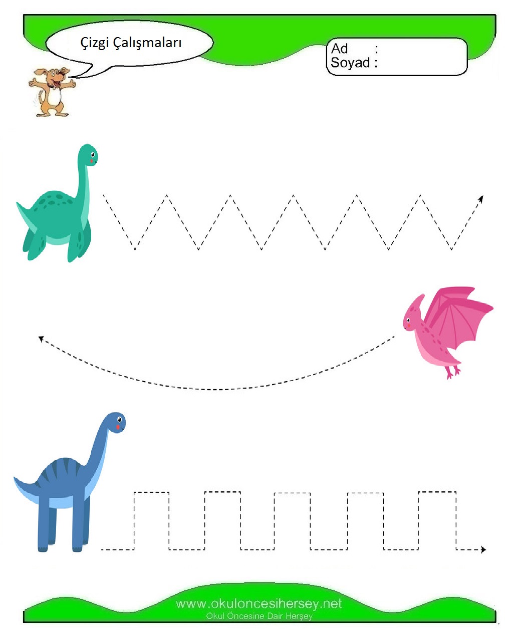 Çizgi Çalışmaları