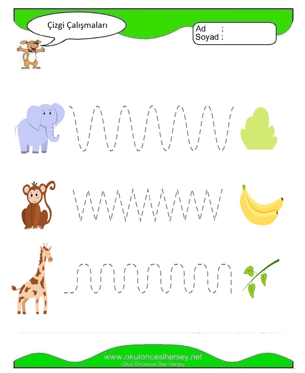 Çizgi Çalışmaları