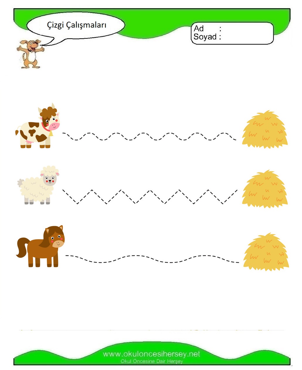 Çizgi Çalışmaları