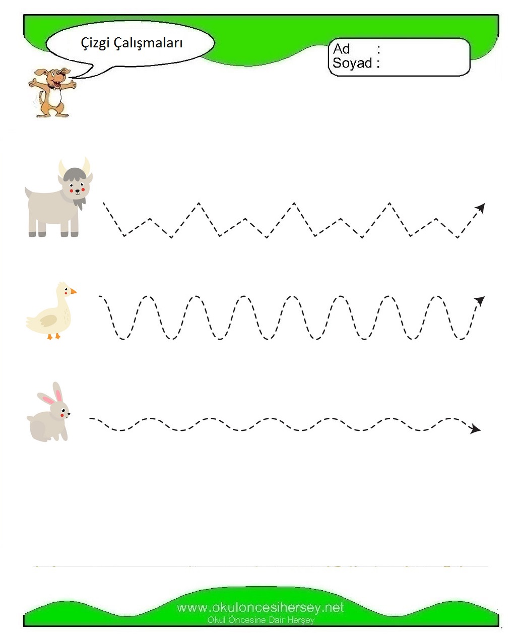 Çizgi Çalışmaları